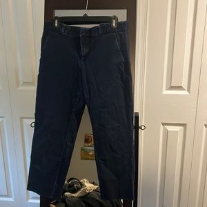 Dark Wash Cropped Skinny Jean Banana Republic